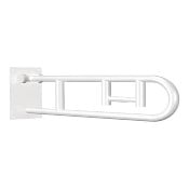 Flip-Up Grab Bar with Toilet Roll Holder